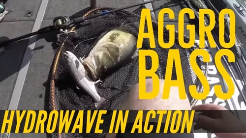 Hydrowave Largemouth Bass Figure 8 Big Bass Dreams