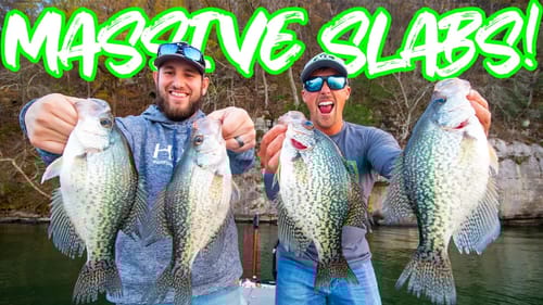 THOUSANDS Of Crappie Fishing LAKE GUNTERSVILLE!! (LIVESCOPE FOOTAGE)