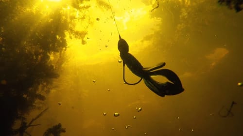 How to Flip and Pitch for Bass Like a Pro