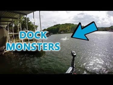 Catching HUGE Fish By DOCKS! Lake Of The Ozarks