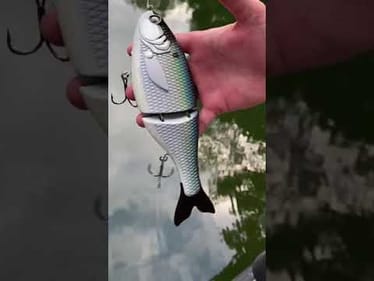 Swimbait Review: BGC 9" Shad Glide