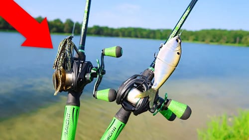 New TROPHY Pond is LOADED w/ GIANT BASS (Bank Fishing)