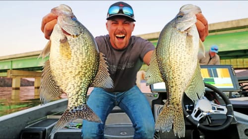 Fishing DOCKS and BRIDGES For BIG SLABS!! (Crappie on Guntersville)