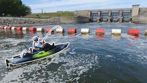SPILLWAY Fishing = NEW SPECIES!!! (Old Town Predator PDL)