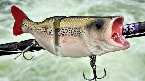 Making WIDE Open Mouth Popping Bass SwimBait