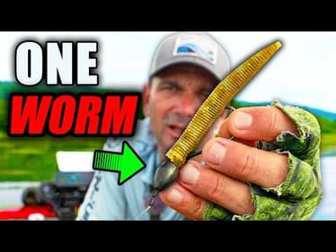 This might be the ONLY Worm You Will Ever NEED to Catch Bass