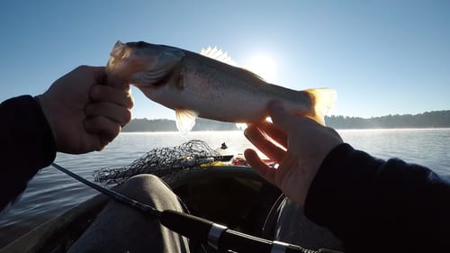 1 Huge lake 1 small fish