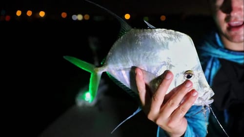 Catching WEIRD FISH in the DARK (Big Announcement)