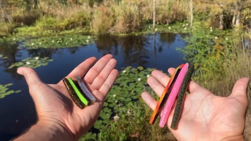 TINY vs BIG Senko Fishing Challenge (KICKED OUT)