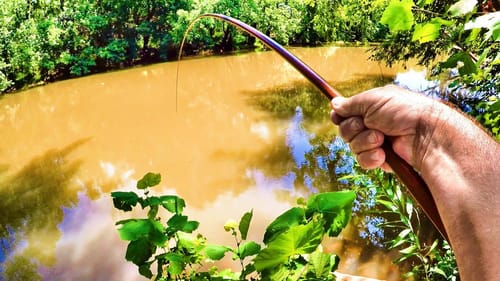 No Reel No Problem! This Primitive Way Of Fishing Catches Loads Of Fish!