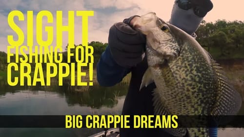 Sight Fishing for BIG Black Crappie w Rick Hattaway #BigCrappieDreams