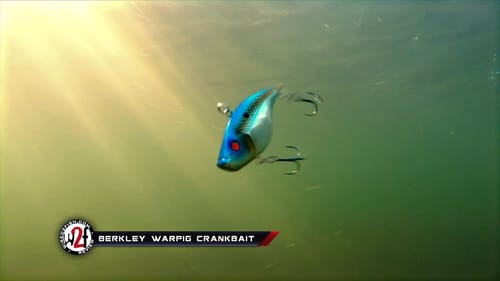 Berkley Warpig Crankbait Underwater Video