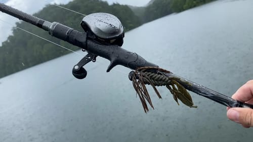 Two SUMMER Must Have BAITS