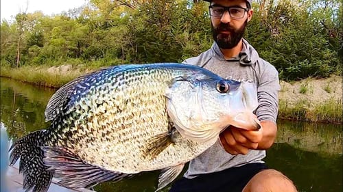 The BIGGEST CRAPPIE on YOUTUBE!!!