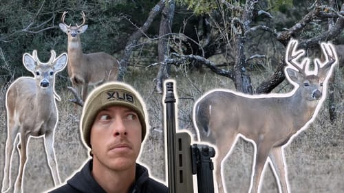 The BUCKS Finally Came Out!