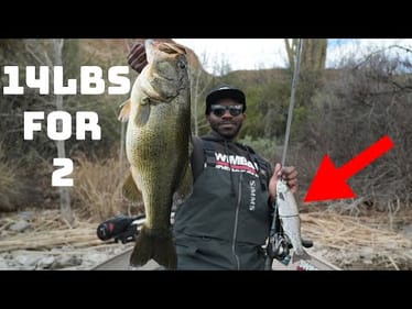 Bass Fishing With Big Glide Baits Is Too Easy!