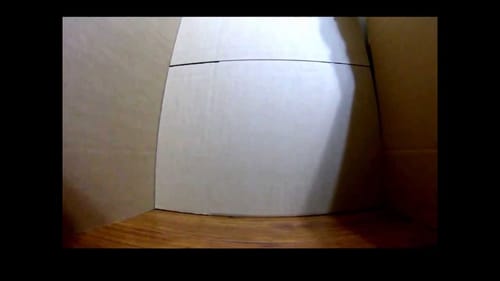 Roboworm Facebook Giveaway!