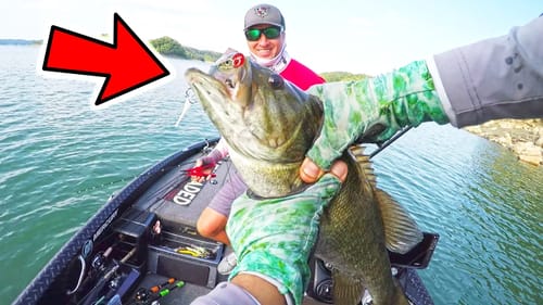 INSANE Fall TOPWATER FISHING on LAKE CUMBERLAND + FLW TOURNAMENT PRACTICE
