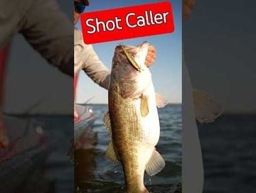 When u Wreck them on a Jerkbait
