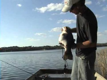 fish, 3-4 huge 10 pounder flippin