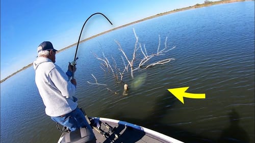 Is that a SNAG or a FISH? (MONSTER)