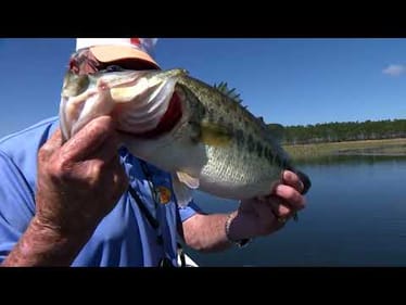 Three Successful Words | Bill Dance Outdoors (Full Episode)