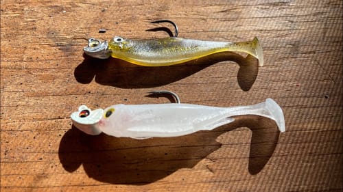 The Best Non-Livescope Swimbait Technique On YouTube
