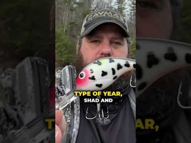 Winter Crankbait Selection