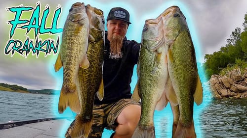 EVERY FISH IN THE LAKE EATS THIS BAIT! MULTI SPECIES FALL CRANKBAIT BITE KICKS OFF!!!