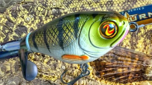Whopper Plopper vs Smallmouth Bass