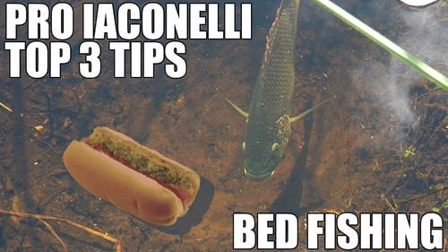 Top 3 Best Bed Fishing Secret Bass Fishing Tips Video