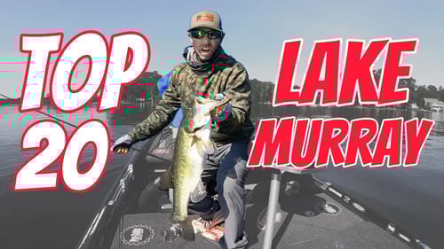 Lake Murray Bassmaster Elites! (TOP 20!)