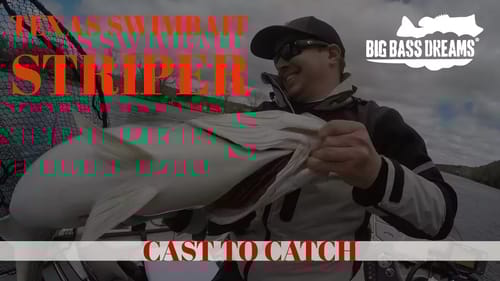 24lb Striper Lake Austin Cast to Catch to Scale