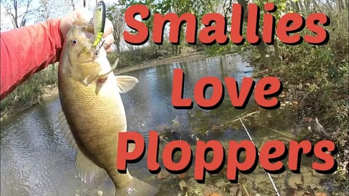 Creek Smallmouth CRUSH Whopper Ploppers