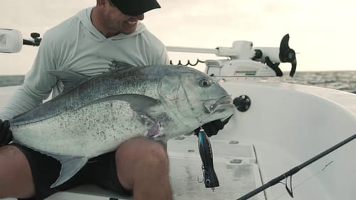 The Topwater Division...