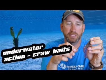 Ott’s Garage | Pool Test | Texas Rig Craws
