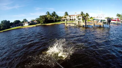 World's Most Underrated Gamefish