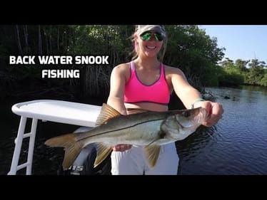 Backwater Snook Fishing Vlog