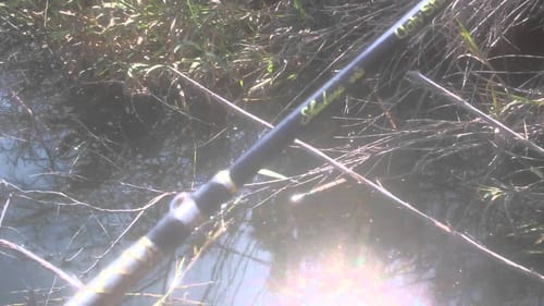 Wacky Worm Senko bass fishing
