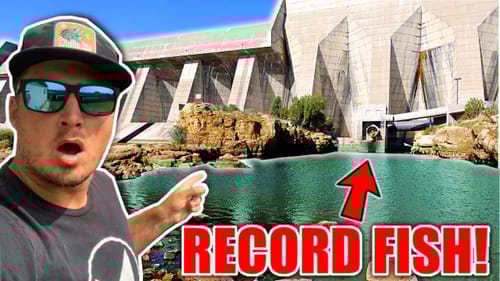 What Lives Behind this MASSIVE Urban Dam?! (FINALLY Caught a BIG!)