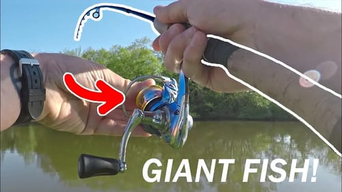 I Got SPOOLED By a Giant Fish in a Small Pond! (INSANE)