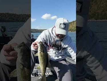 It took me 2 days to figure out these BASS..