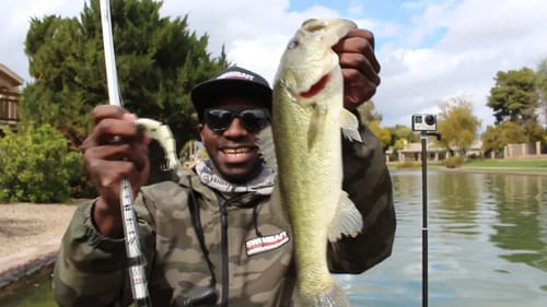 Fishing With A New Prototype Swimbait?!