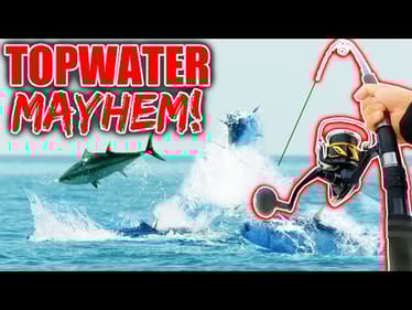 Throwing Topwater Baits into a FEEDING FRENZY of GIANT Tuna!