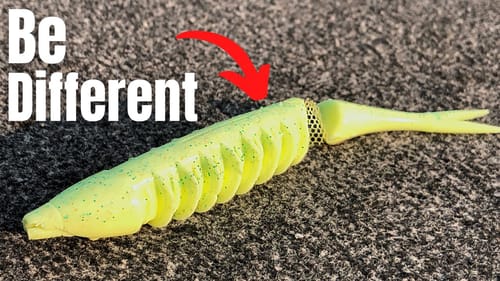 August BASS FISHING (Subtle Differences Are KEY)