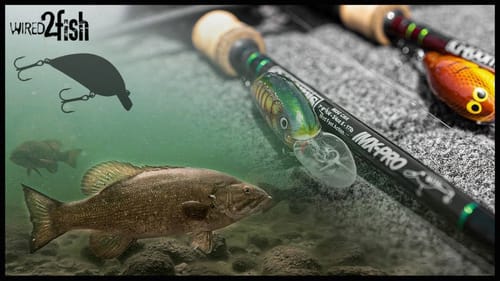 Gussy's Shallow Diving Crankbait Strategy for Smallmouth Bass