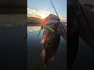 Who likes a good worm bite?   comment your favorite color