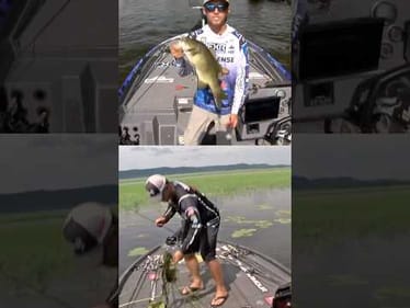 Mckinney + Johnston going fish for fish