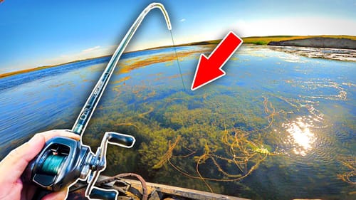 My BIGGEST Fish of the Year was BURIED in the Thick Grass!