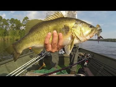 Big Swimbaits Catch Big Bass - Bull Shad Bass Fishing